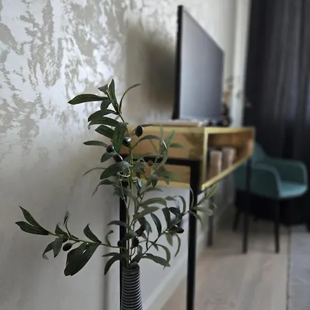 Διαμέρισμα Elegant 2Br BW Apartment 2 Bathrooms -Private Garage A1 Residence BW Βελιγράδι